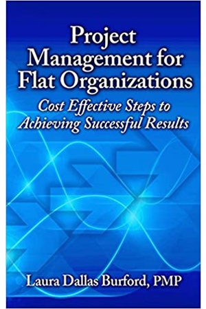 Project Management for Flat Organizations: Cost Effective Steps to Achieving Successful Results